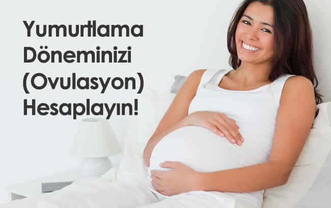yumurtlama donemi hesaplama
