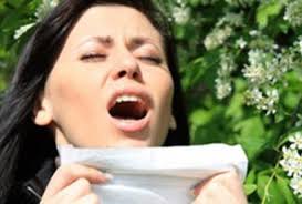 Sürekli Hapşırmanın Sebepleri