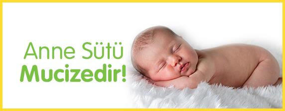 ilk alti ay anne sutu Anne Sutunun Yapisi ve Saklama Kosullari