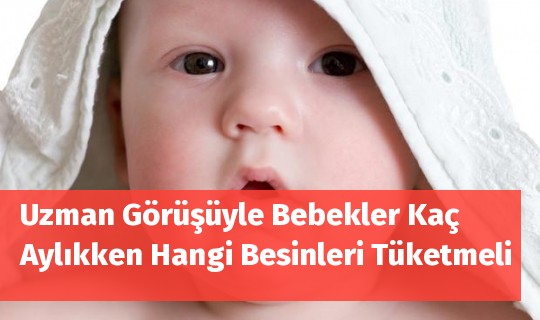 Bebekler Hangi Ayda Hangi Besinleri Yer