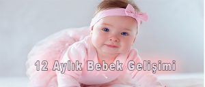 12 Aylık Bebek Gelişimi 