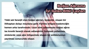 Boğaz Ağrısına Hangi Bitki Çayları İyi Gelir? 